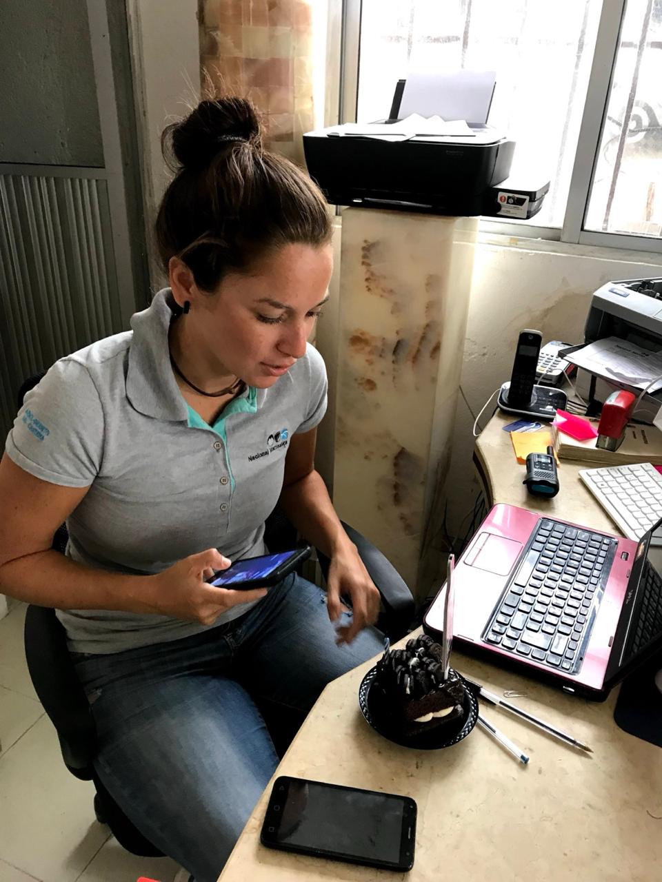 The Beginning (2014)